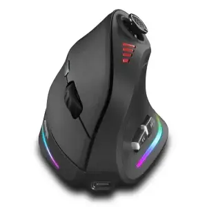 ZELOTES Ergonomic Wireless Gaming Mouse