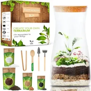 DIY Succulent Glass Terrarium Kit